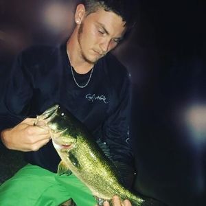 Meet your Posher, Albert